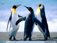 windows7rc-Pingouin.png, juil. 2009 windows7rc-Pingouin.png