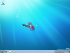 windows7rc_03.png, juil. 2009 windows7rc_03.png